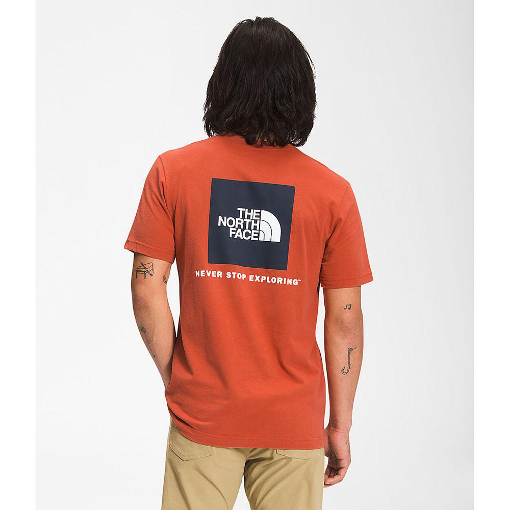 The North Face Κοντό Μανίκι Box Nse Ανδρικα T Shirt - Πορτοκαλι (OLNW82135)